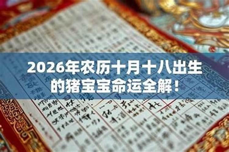 2026农历十月属羊运程如何？