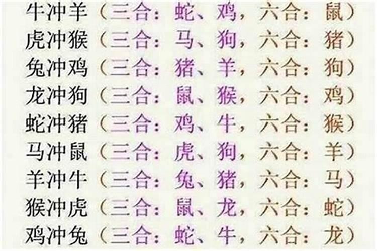 属虎和虎龙的八字合吗？
