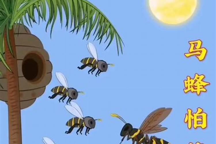 冬至过后蜜蜂能长途运输吗？