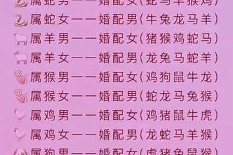 属猪女和什么属相最配？