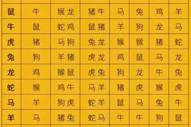 属猪的婚配有哪几个属相？