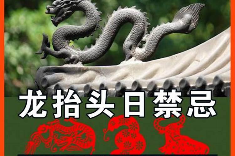 龙抬头日禁忌