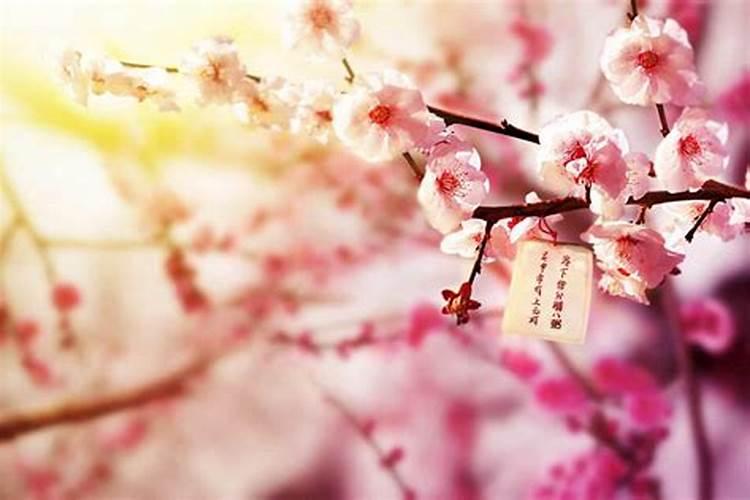 怎么破自己的桃花运？
