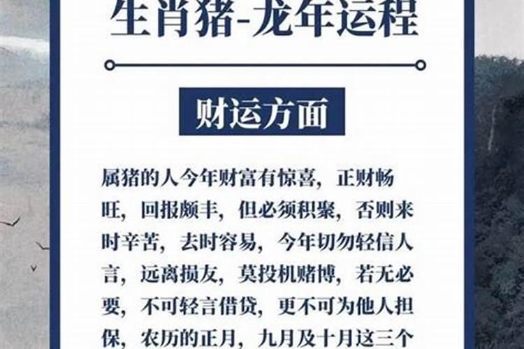 冬至出生的猪宝宝乳名