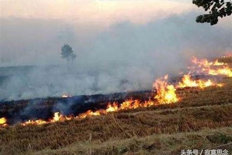 梦见坟墓着火了我灭了