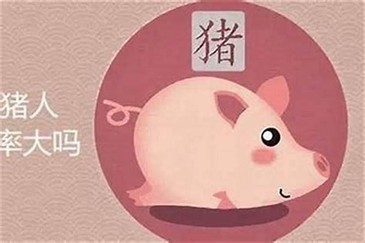 属猪今年的运程如何？