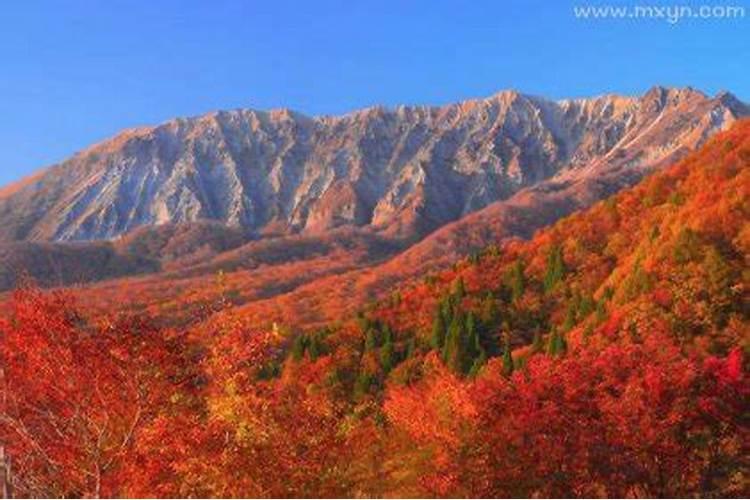 梦见了大山是什么意思？