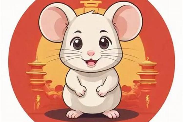 72年属鼠的男士一生运势