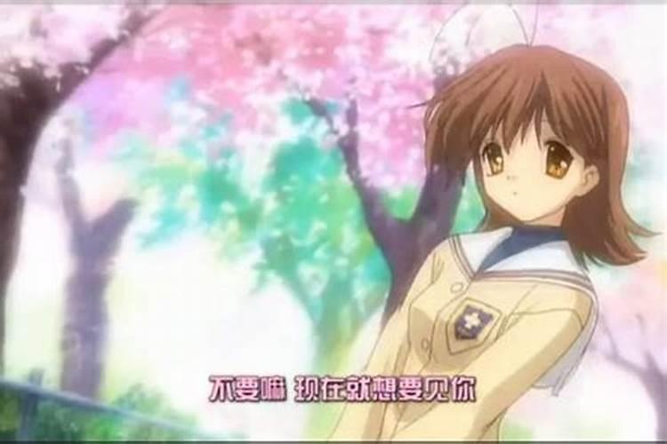 清明樱花祭3部曲