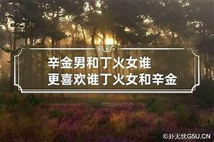 女火和男金合婚吗？