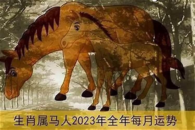 属马的遇鸡年运势如何？