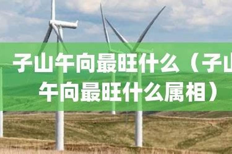 子山午向最旺什么？