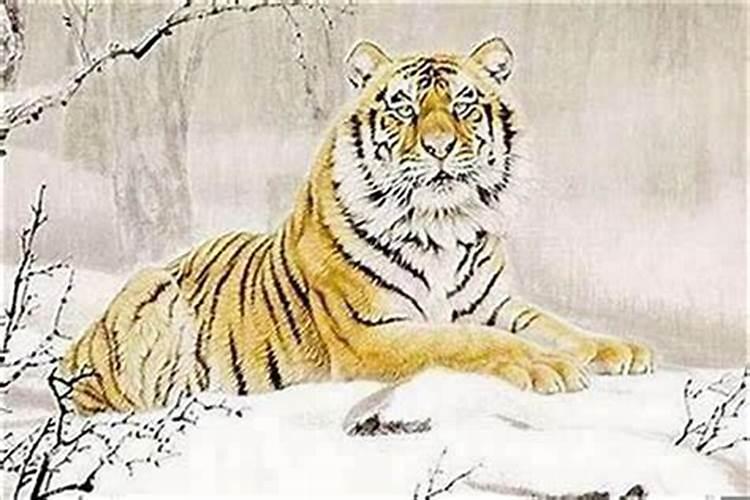 属虎的男士本命年戴什么？