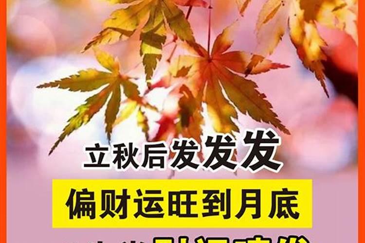 立秋后财运
