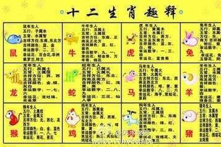 大运看配偶星有根