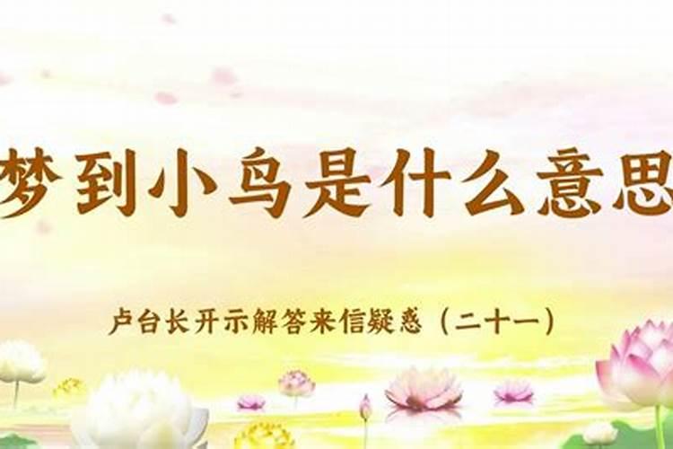 梦到小鸟是什么意思？