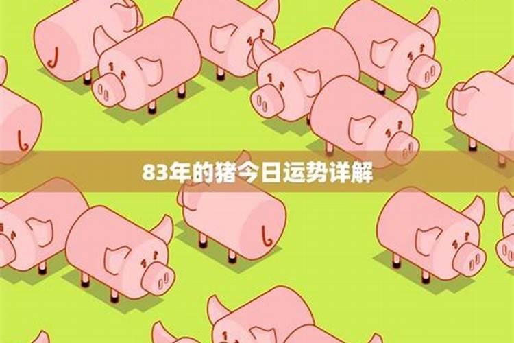 83年的猪七月份出生今年的运势
