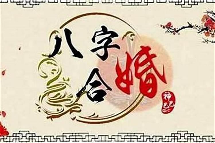 八字合婚要怎么看日子？