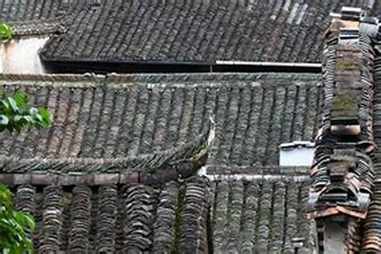 梦见家里老房子下大雨漏水