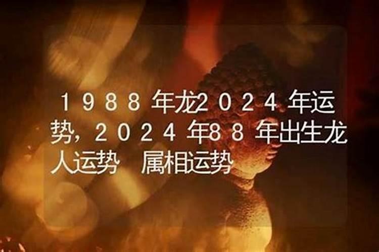 88属龙女性2026年运势
