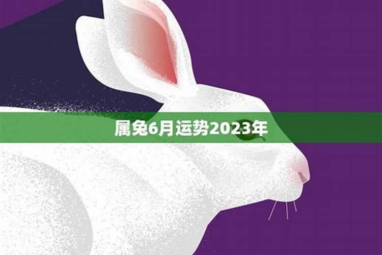 2026年6月份属兔的运势如何？