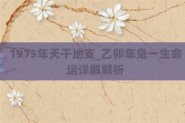 1975年兔一生运势