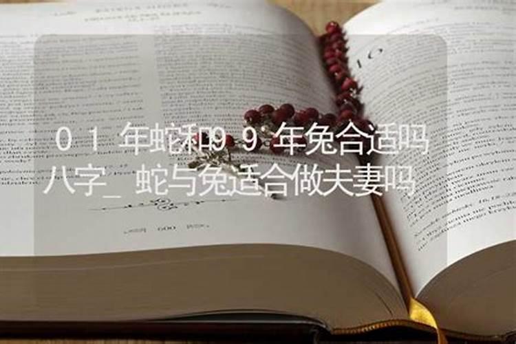 兔与蛇结为夫妻八字合吗？