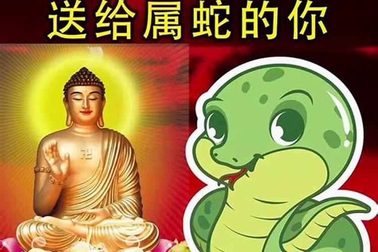 蛇男腊月命运