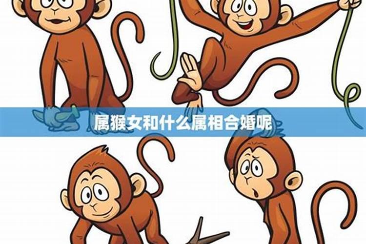 猴和什么生肖能合婚？