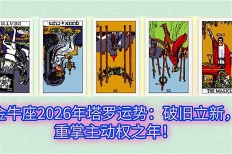 塔罗测试今年运势