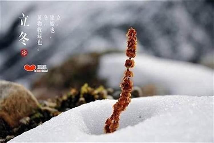 明日立冬要注意什么问题？