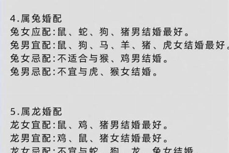 属狗与属龙的合婚吗？
