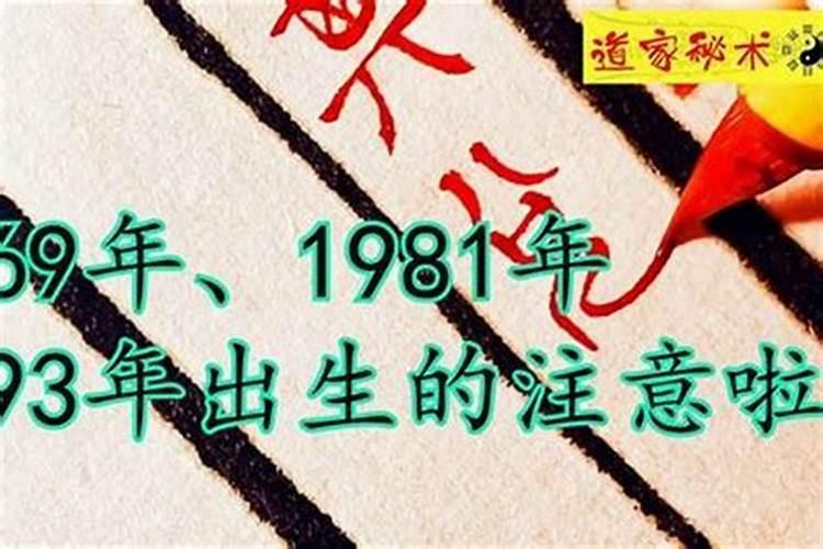 1981年在2026运势如何？