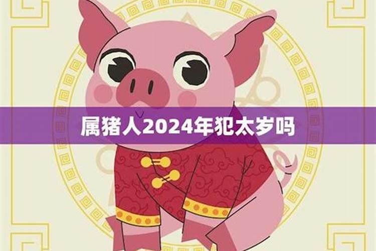 是属虎的猪年都犯太岁吗？