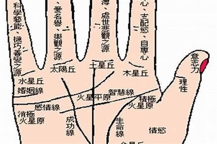 婚姻如何才能算正常？