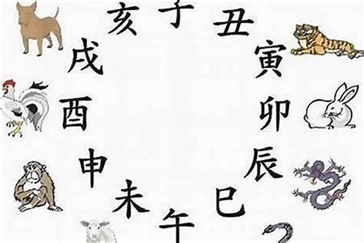 十二生肖分别住什么房子？