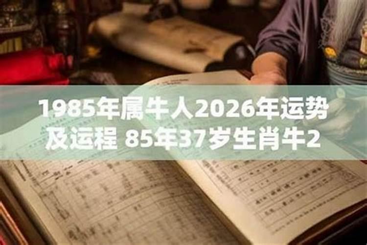 198年属牛2026年运势及运程