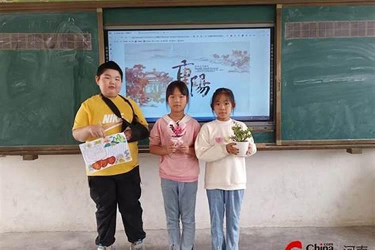 重阳节活动有哪些小学？