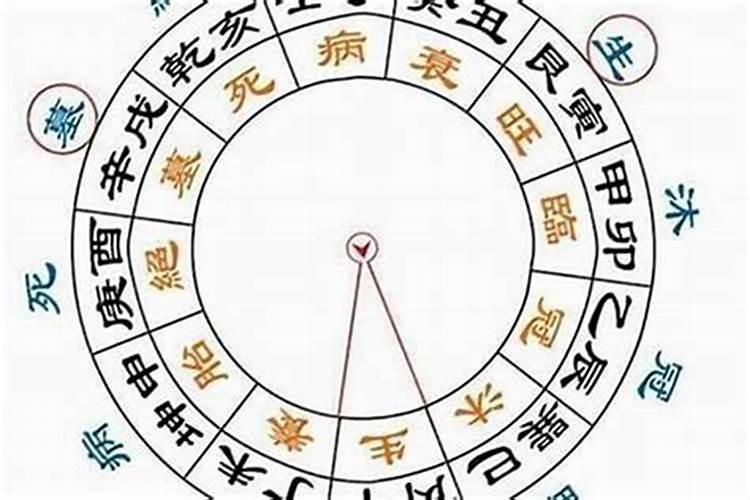 八字当中的大运在养