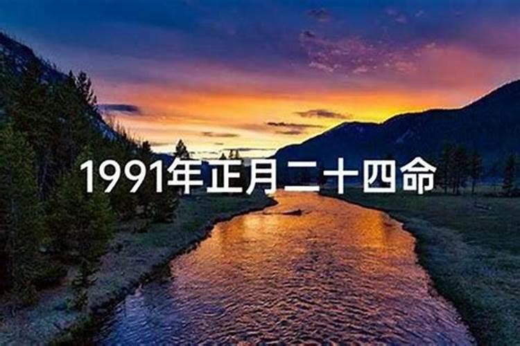 1991年什么命？