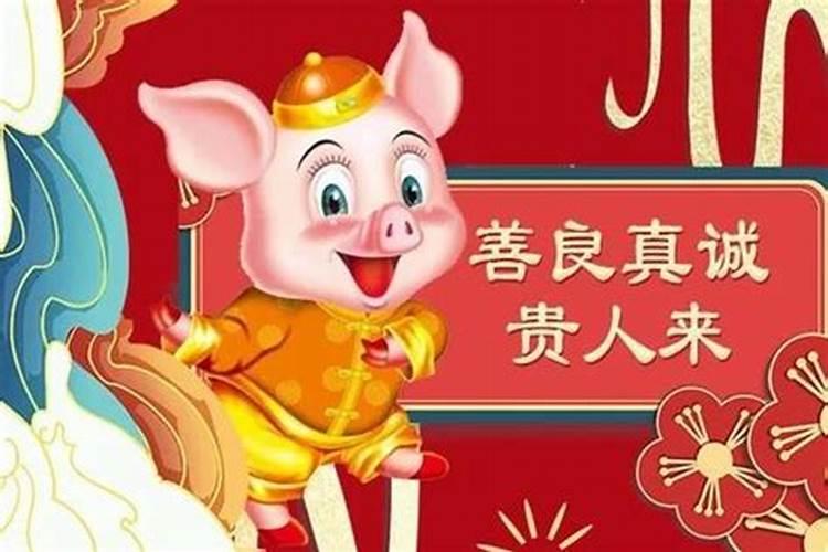 属猪的学业运势如何？
