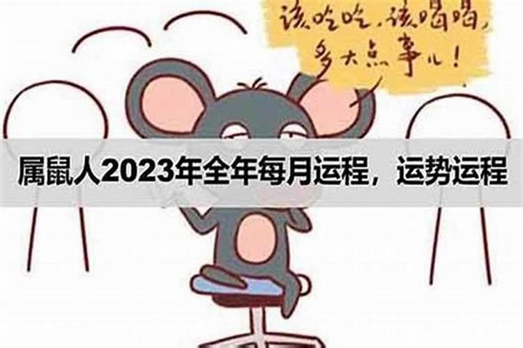 2026年属鼠个运程怎么样了？