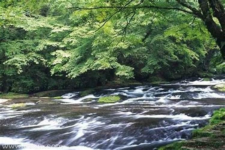 梦见水沟流水什么意思？
