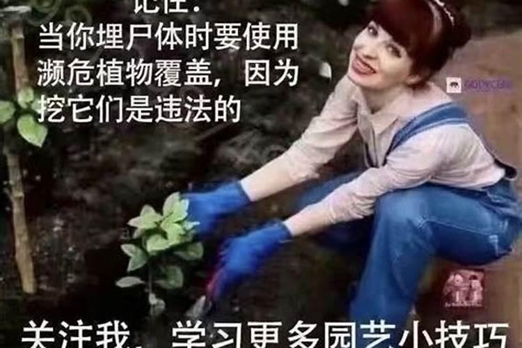 说起来太岁,就想起来那个女记者