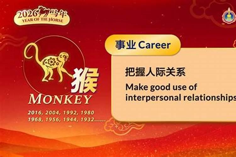 属马的2026年运势戴饰物猴可以吗？