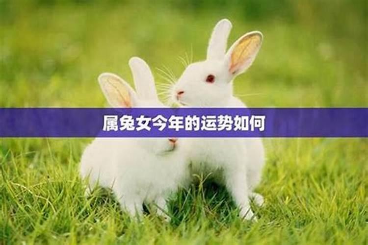 属兔4月出生的运势