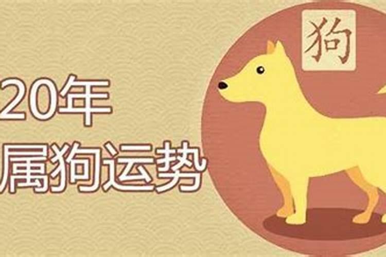 属狗哪个月出生是童子命？