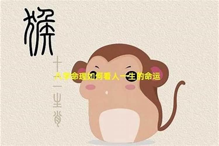 怎样通过八字看人的命运？