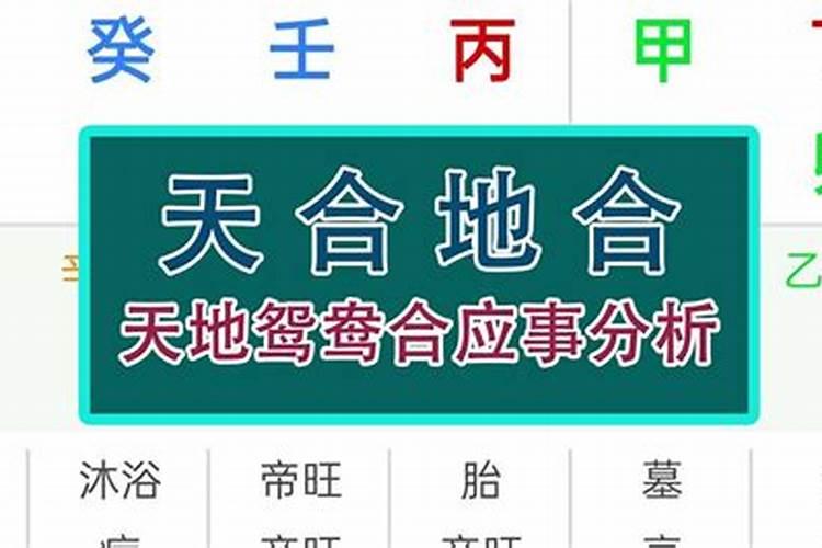 八字天合地合解析