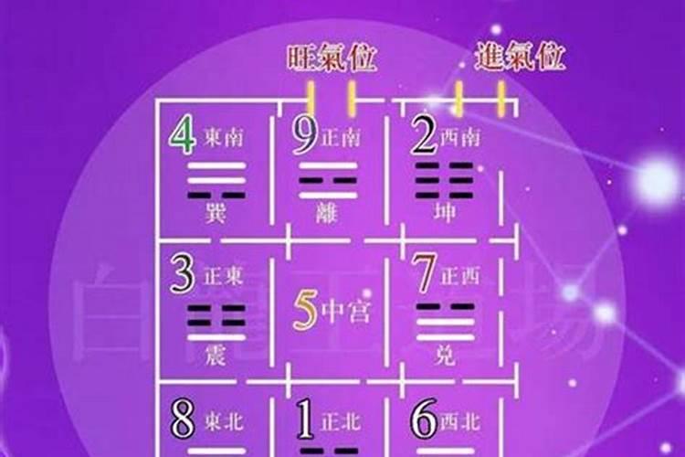 属鼠九月初九运如何？